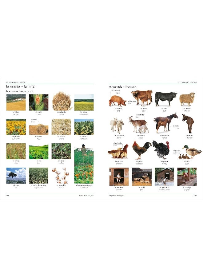 null - Spanish English Bilingual Visual Dictionary - Image 1