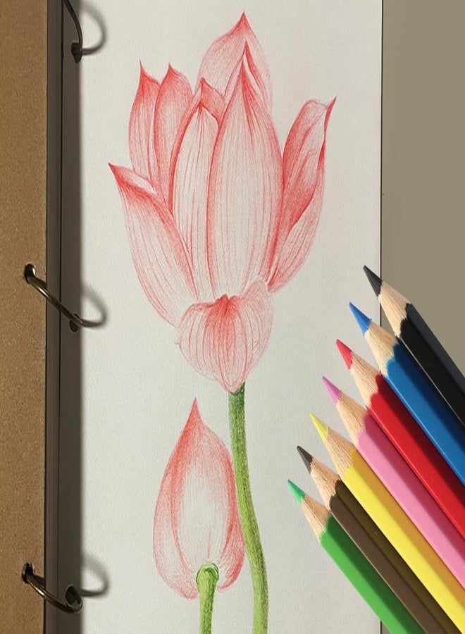 إس كي كي ستيشناري مجموعة أقلام تلوين SKKSTATIONERY، 288 قلمًا، أقلام تلوين مشحوذة مسبقًا، هدايا مثالية للعودة إلى المدرسة أو عيد الميلاد، 12 لونًا، 12 قلمًا في العلبة، إجمالي 288 قلمًا. - Image 5