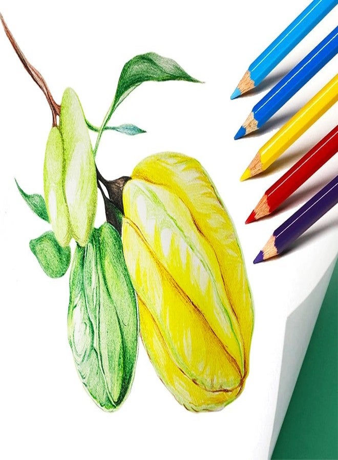 إس كي كي ستيشناري مجموعة أقلام تلوين SKKSTATIONERY، 288 قلمًا، أقلام تلوين مشحوذة مسبقًا، هدايا مثالية للعودة إلى المدرسة أو عيد الميلاد، 12 لونًا، 12 قلمًا في العلبة، إجمالي 288 قلمًا. - Image 4