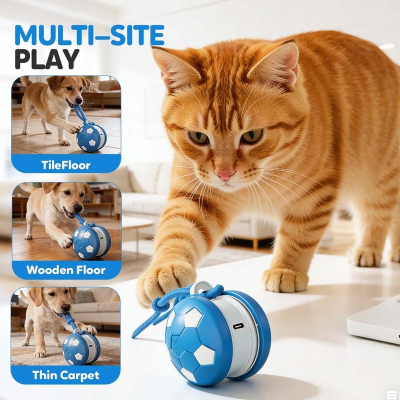 Motion Activated Automatic Rolling Ball Dog Toy With Rope Random Path Orange Blue - Image 5
