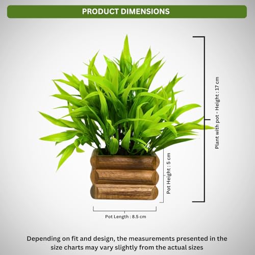 fancymart Artificial Bamboo Leaves in Wood Potted Plant Height : 17 cm Perfect for Home Décor & Office Space - Image 3