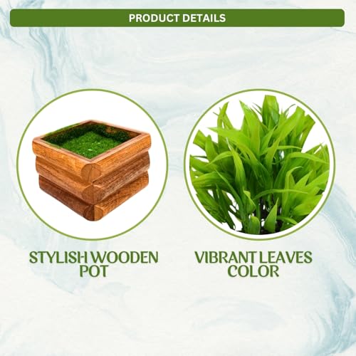 fancymart Artificial Bamboo Leaves in Wood Potted Plant Height : 17 cm Perfect for Home Décor & Office Space - Image 4