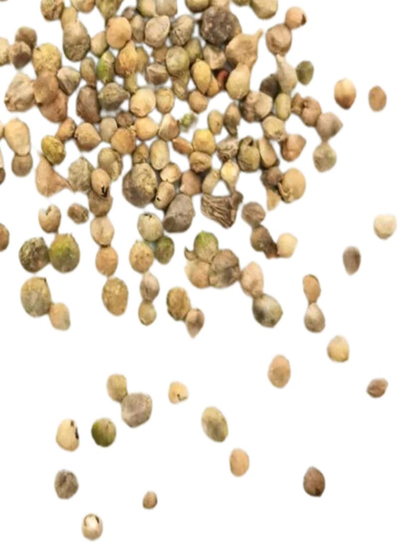 جي جوت 100 قطعة من بذور السبانخ، بذور سبانخ خضراء مغذية وصحية ولذيذة للاستخدام المنزلي وبذور خضراوات للحديقة - Image 5