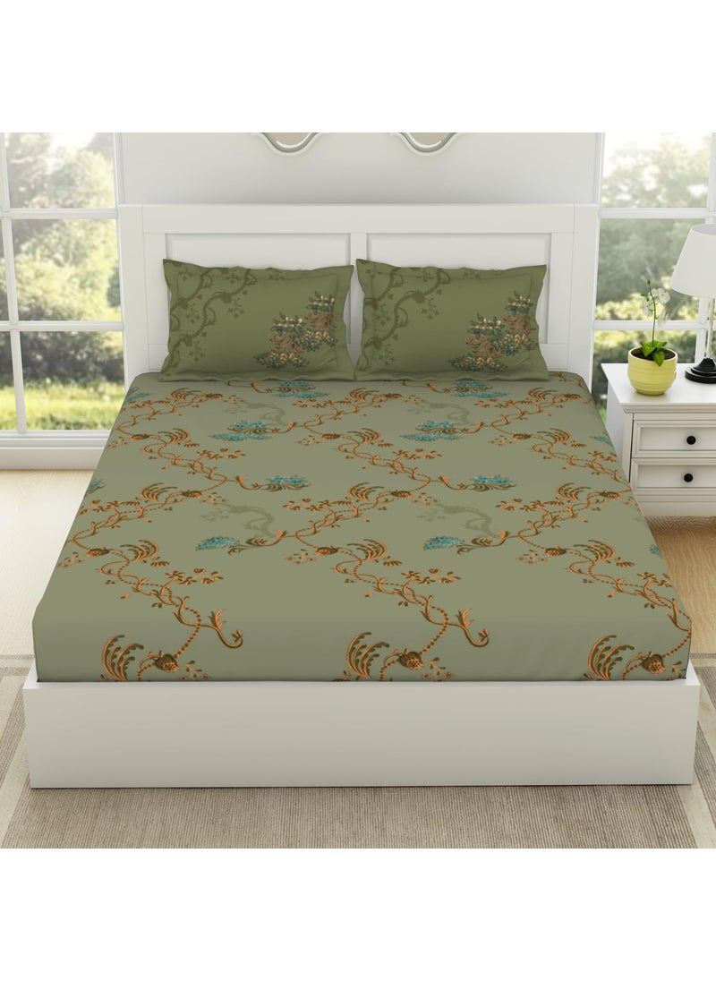 SPACES Spaces 100% Cotton King (198Cmx198Cm+20Cm/43Cmx68Cm) | 144 Tc Percale Floral Fitted Sheet (Icicle)- Lattice  - Image 1