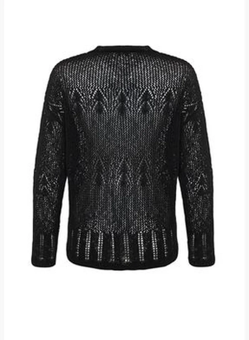 trendyol Black Knitwear Sweater TWOSS24KZ00011