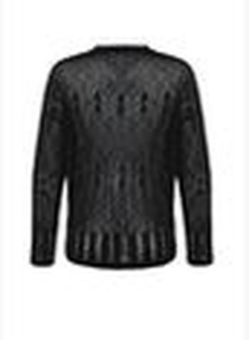 trendyol Black Knitwear Sweater TWOSS24KZ00011