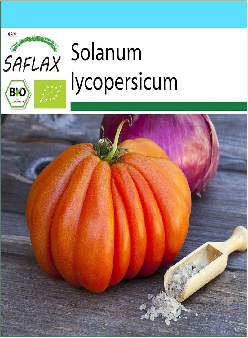 GGOOT Gift Set - Organic - Tomato - Oxheart - 10 Seeds - with Gift Box, Card, Label and Potting Substrate - Solanum lycopersicum - Image 1