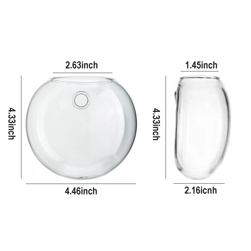 CHPINDAM Wall Hanging Planter Propagation Station, Oblate Glass Flower Vase for Propagation, Wall Planter for Indoor Plants, Modern Home Office Corridor Bathroom Decor (2) - Image 2