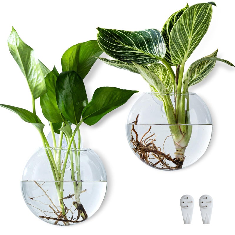 CHPINDAM Wall Hanging Planter Propagation Station, Oblate Glass Flower Vase for Propagation, Wall Planter for Indoor Plants, Modern Home Office Corridor Bathroom Decor (2) - Image 1