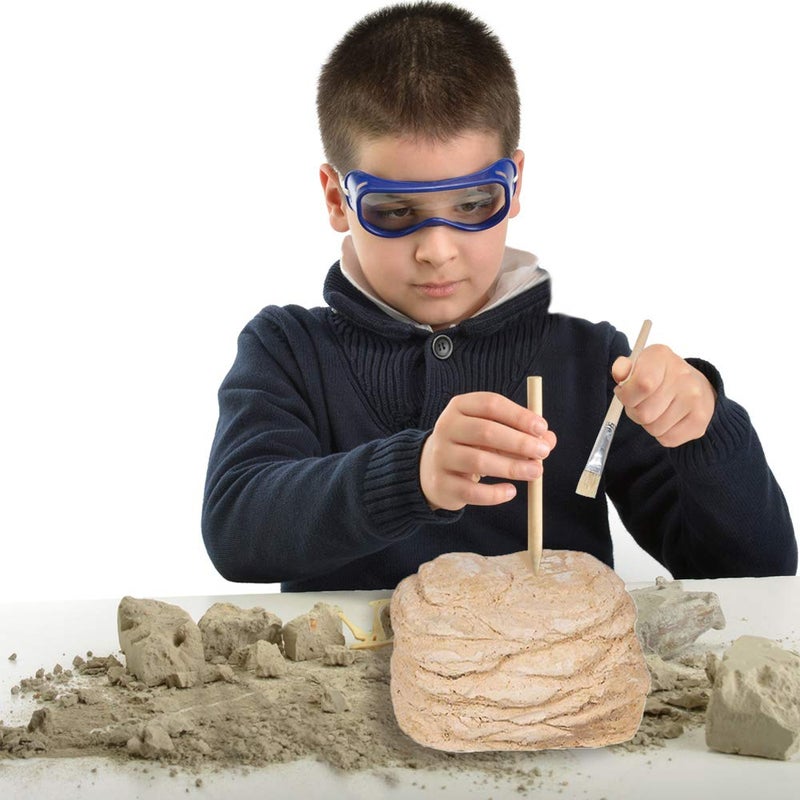 ArtCreativity Dinosaur Excavation Kit for Kids, 5.5â€ Triceratops Skull Excavating Set with Fossil Digging Tools and Stand, Fun Science Activity Toy, Educational Dinosaur Gift for Boys and Girls - Image 5