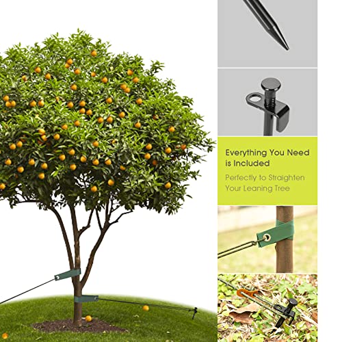 Rifny Heavy Duty Tree Stake Kits, 11.8 Inch Steel Tree Stakes and Supports for Young Tree Anti Strong Wind, Leaning Tree Anchor Straightening Kit with 3 PCS Steel Stakes, 13.12 Feet Rope and Tree Straps - Image 2