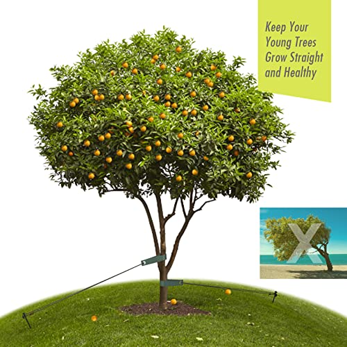 Rifny Heavy Duty Tree Stake Kits, 11.8 Inch Steel Tree Stakes and Supports for Young Tree Anti Strong Wind, Leaning Tree Anchor Straightening Kit with 3 PCS Steel Stakes, 13.12 Feet Rope and Tree Straps - Image 4