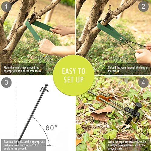 Rifny Heavy Duty Tree Stake Kits, 11.8 Inch Steel Tree Stakes and Supports for Young Tree Anti Strong Wind, Leaning Tree Anchor Straightening Kit with 3 PCS Steel Stakes, 13.12 Feet Rope and Tree Straps - Image 3