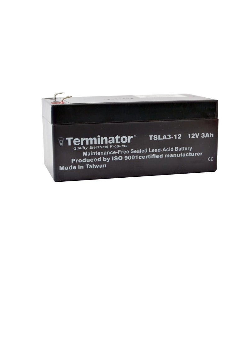 Terminator Terminator SLA Battery 12V-3Ah TSLA 3-12  - Image 3