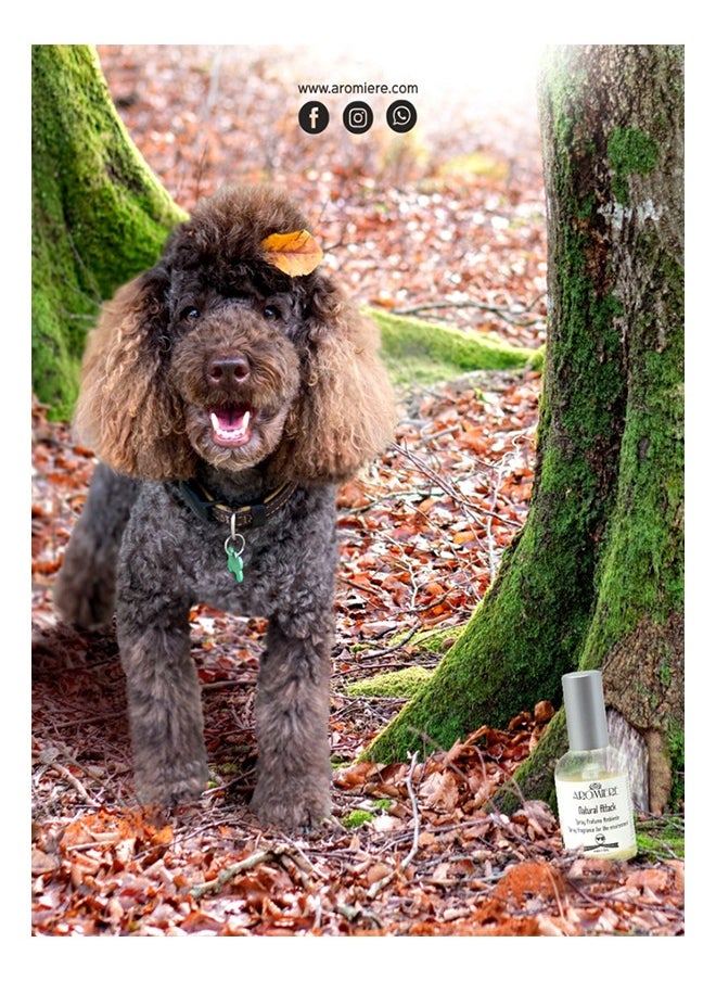 Aromiere - Pet Home Spray - Odor Attack (Natural Attack) - Image 1