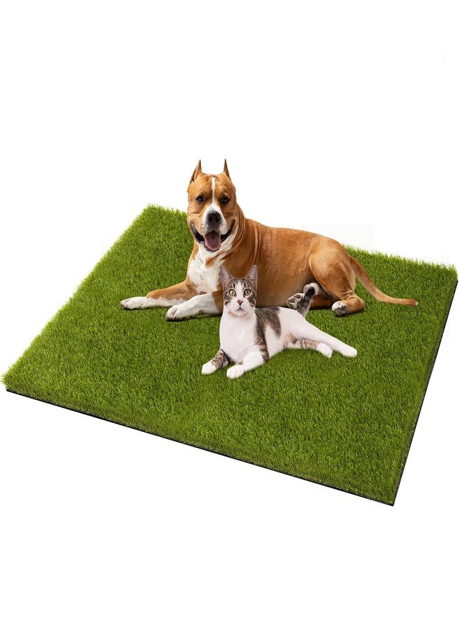 CooRug Fake Grass, 51 x 31 Inches Artificial Grass for Dogs, Realistic Turf for Indoor Outdoor Door Mat Balcony Patio Lawn Decoration - Image 1