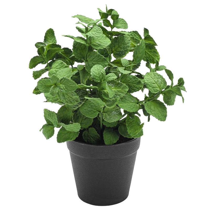 Coferset Small Fake Plants Mint Artificial Potted Plants for Home Office Bathroom Shelf Farmhouse Coffee Table Decor (Green) - Image 1