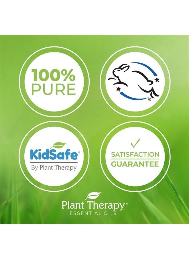 Plant Therapy - Palmarosa Essential Oil 100% Pure, Undiluted, Natural Aromatherapy, Therapeutic Grade 10 mL (1/3 oz) - Image 1