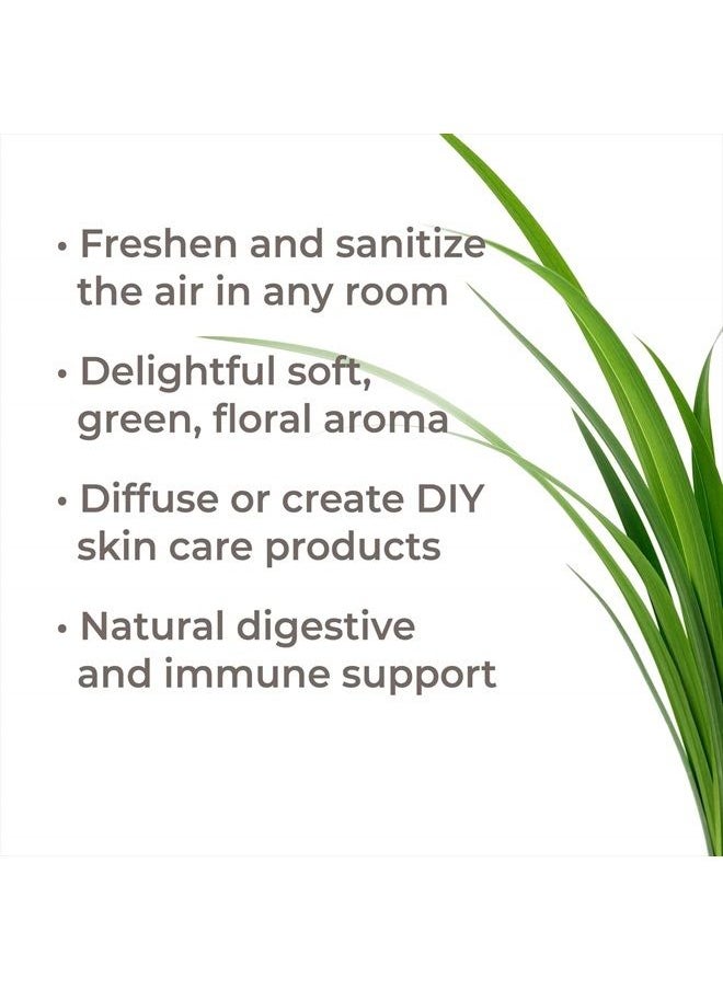 Plant Therapy - Palmarosa Essential Oil 100% Pure, Undiluted, Natural Aromatherapy, Therapeutic Grade 10 mL (1/3 oz) - Image 1