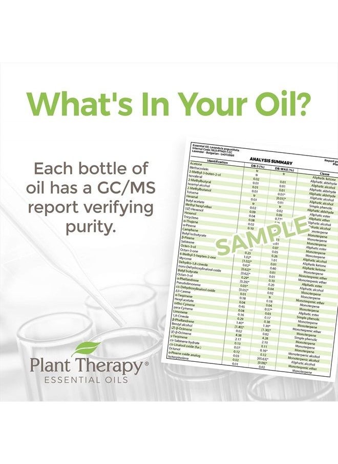 Plant Therapy - Palmarosa Essential Oil 100% Pure, Undiluted, Natural Aromatherapy, Therapeutic Grade 10 mL (1/3 oz) - Image 1