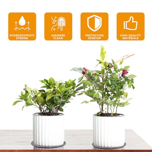 Anpuimult 24 PCS Absorbent Waterproof Plant Coasters mat,4 Size 4/6/ 8/10 Inch Reversible Round Fabric Plant Coasters and Plant Saucers for Indoors,Plant mat for Indoor Plants - Image 3
