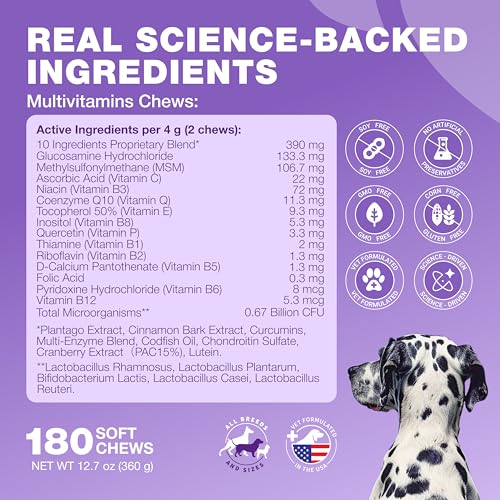 CHEWIA Dog Vitamins 15 in 1 - Dog Multivitamin Chews with MSM for Hip & Joint Health - Dog Supplement for Itchy Skin Relief - Multivitamin for Dogs Immune Support with Enzymes - Skin & Coat, Mobility Support - Image 5