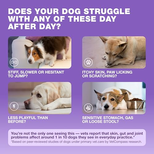 CHEWIA Dog Vitamins 15 in 1 - Dog Multivitamin Chews with MSM for Hip & Joint Health - Dog Supplement for Itchy Skin Relief - Multivitamin for Dogs Immune Support with Enzymes - Skin & Coat, Mobility Support - Image 2