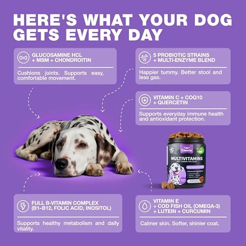 CHEWIA Dog Vitamins 15 in 1 - Dog Multivitamin Chews with MSM for Hip & Joint Health - Dog Supplement for Itchy Skin Relief - Multivitamin for Dogs Immune Support with Enzymes - Skin & Coat, Mobility Support - Image 4