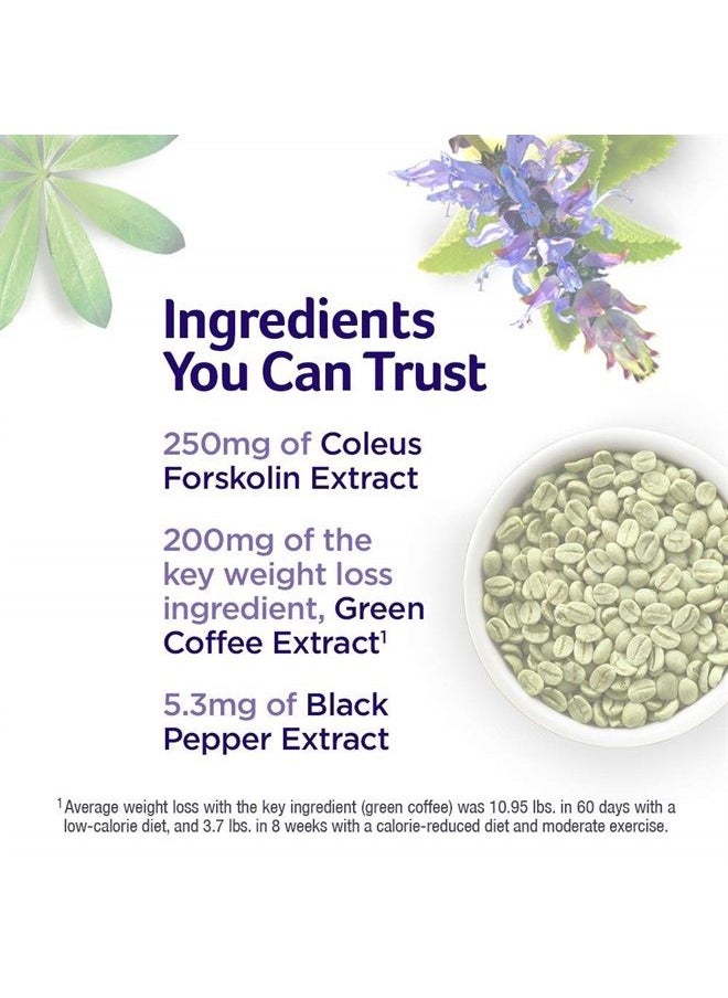 purely inspired - Forskolin for Weight Loss, Purely Inspired Forskolin + Lean, Lose Weight with Green Coffee Bean Extract, Weight Loss Pills for Women & Men, Weightloss Essentials, Non-Stimulant, 60 Count - Image 1