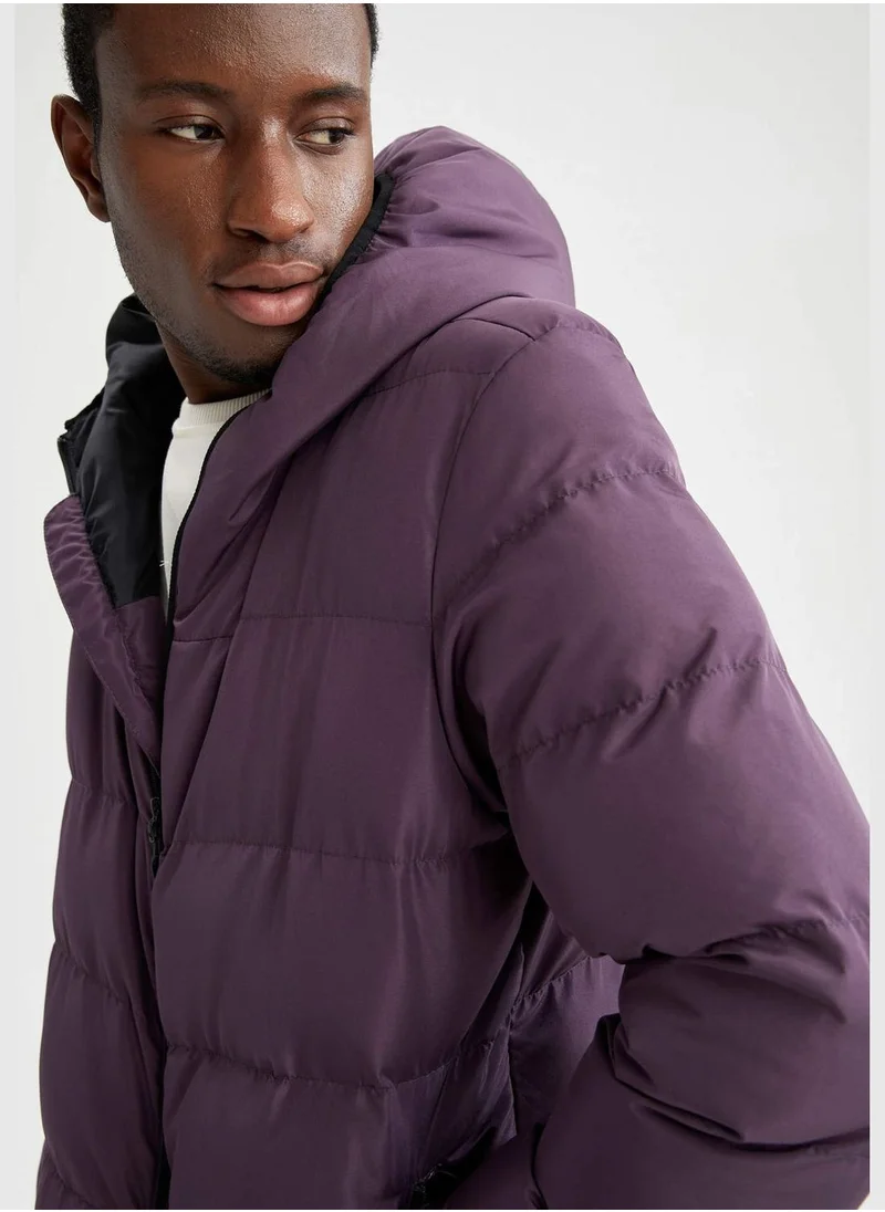 DeFacto Regular Fit Long Sleeve Puffer Coat