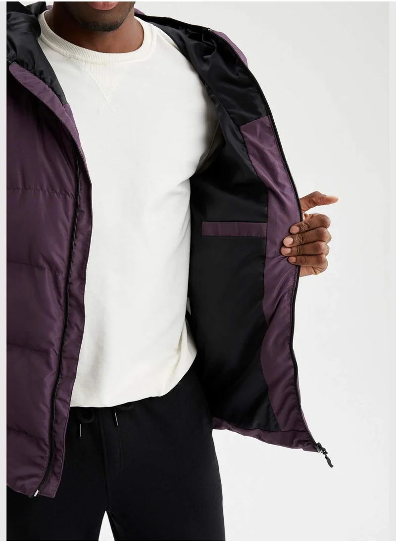 DeFacto Regular Fit Long Sleeve Puffer Coat