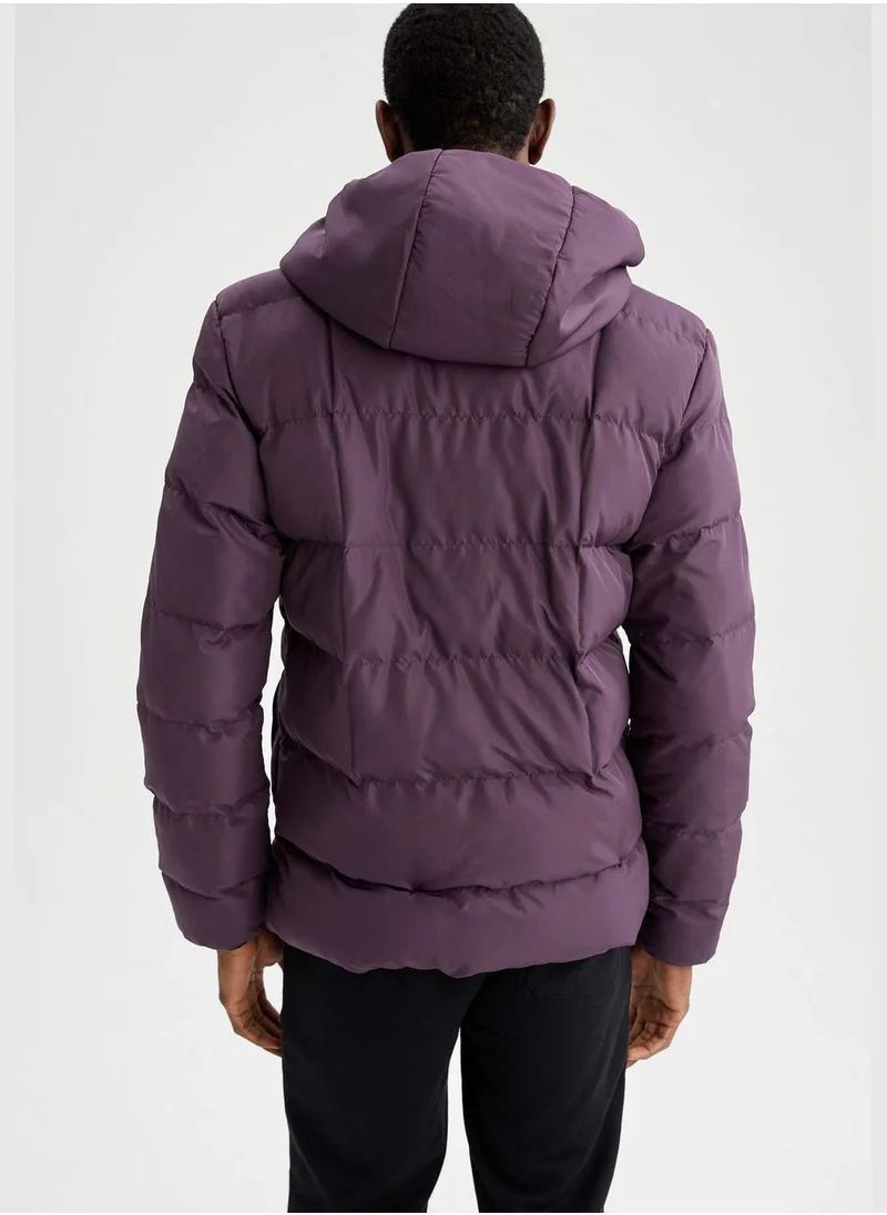 DeFacto Regular Fit Long Sleeve Puffer Coat