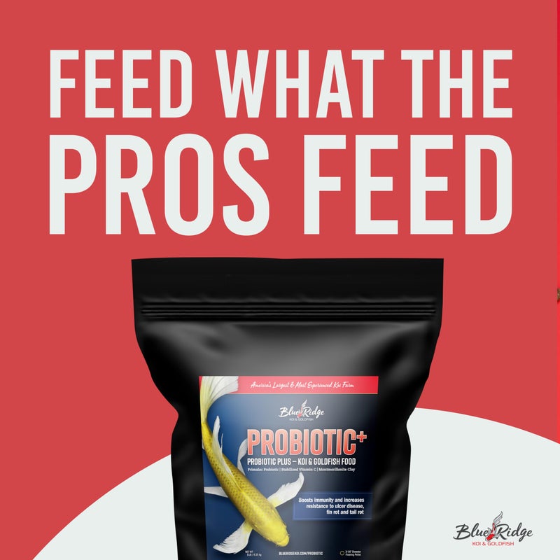 Blue Ridge Fish Food 5lb, Probiotic Plus 3/16" Floating Pellet, Koi Goldfish Food - Image 3