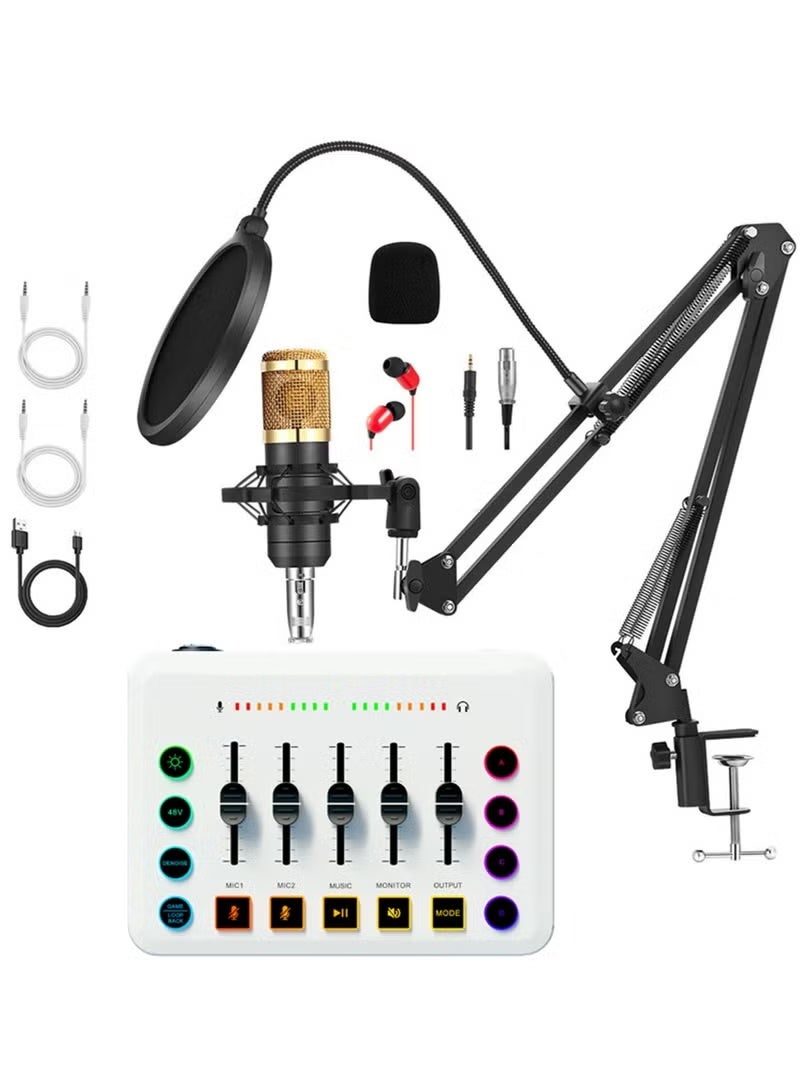 Podcast Equipment Bundle, BM800 Condenser Podcast Microphone Bundle Kit with F9 Live Sound Card, Streaming Audio Mixer Studio All-in-one Beginner Podcast Package for Recording YouTube TikTok