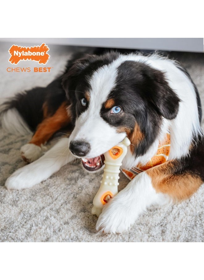 Nylabone Knuckle Bone & Pop-In Puppy Treat Toy Combo Power Chew Toy for Dogs, Dog Toys for Aggressive Chewers, Chicken Flavor, Large - Up to 50 lbs, 1 Count