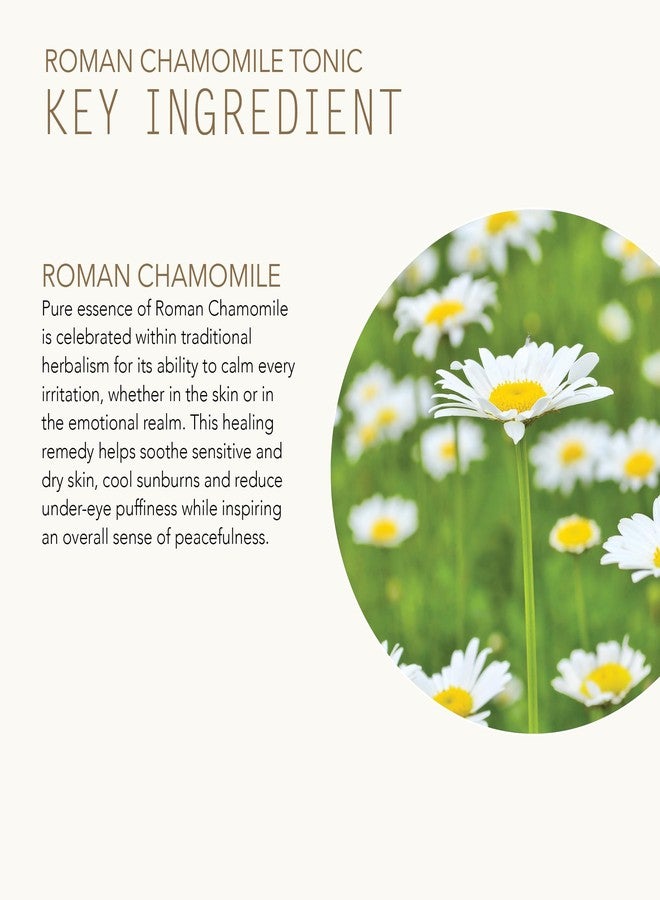 Tammy Fender - Roman Chamomile Tonic Face Toner | Natural, Organic, Cruelty Free, Non-Toxic Skincare | Hydrate, Restore, Calm | Sensitive Skin Safe (6 oz | 178 g) - Image 3