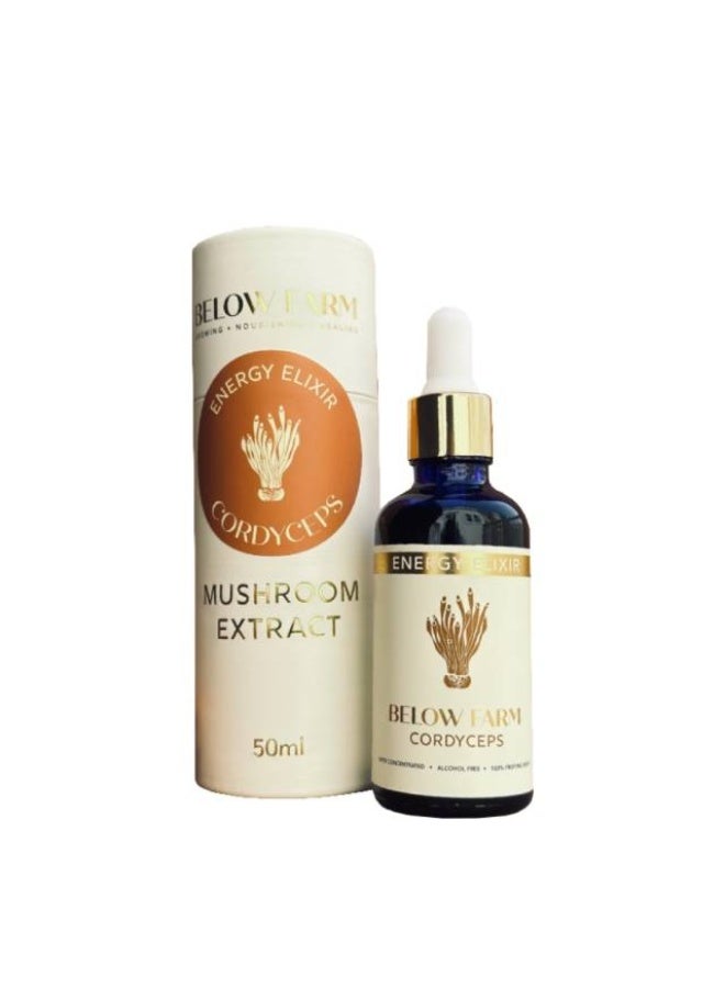 Mushroom Tincture, Cordyceps - 50ml, UAE