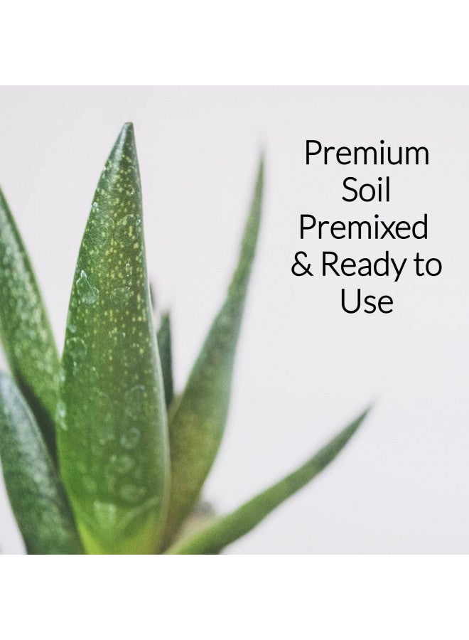 Leaves and Soul Professional Aloe Plant Soil | Premium All Purpose Blend | Large 2.2 Quarts | Ready to Use for Aloe, Cactus, Succulent Plants | Pinebark, Peat, Course Sand | Made in USA - Image 1
