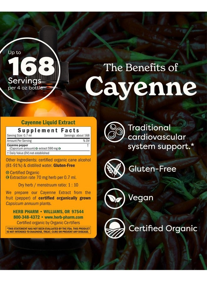 HERB PHARM Herb Pharm Certified Organic Cayenne Liquid Extract for Cardiovascular and Circulatory Support - 4 Ounce, Brown  - Image 1
