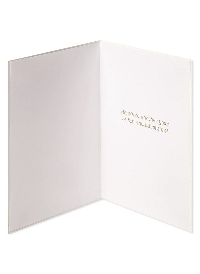 Papyrus Anniversary Card Designed By House Of Turnowsky (Another Year Of Fun) - Image 2