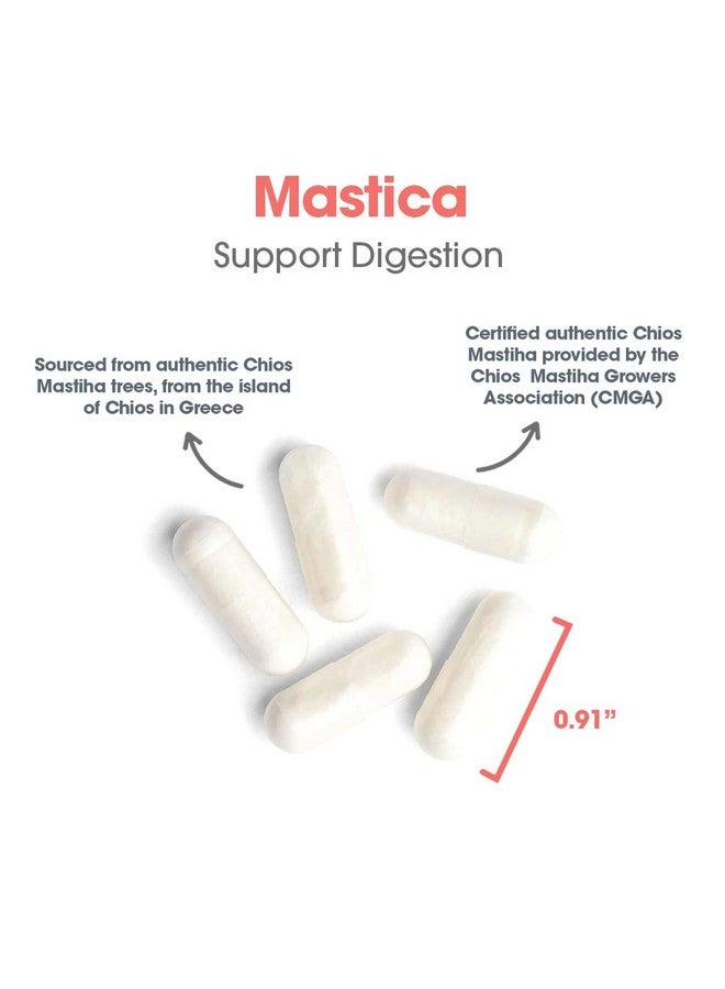 Allergy Research Group مكمل صمغ المستكة من مجموعة أبحاث الحساسية - مستكة خيوس الأصلية، صحة الجهاز الهضمي، خالية من مسببات الحساسية، كبسولات نباتية - 60 عدداً - Image 5