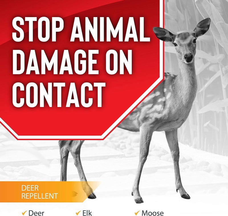 Messinas Deer Stopper II, Liquid Animal Stopper Repellent, All Natural, Effective All Year Round, Safe for People and Pets, No Harsh Chemicals, Ready to Use, Deer & Elk Repellent - 32 oz. Trigger Bottle - Image 2