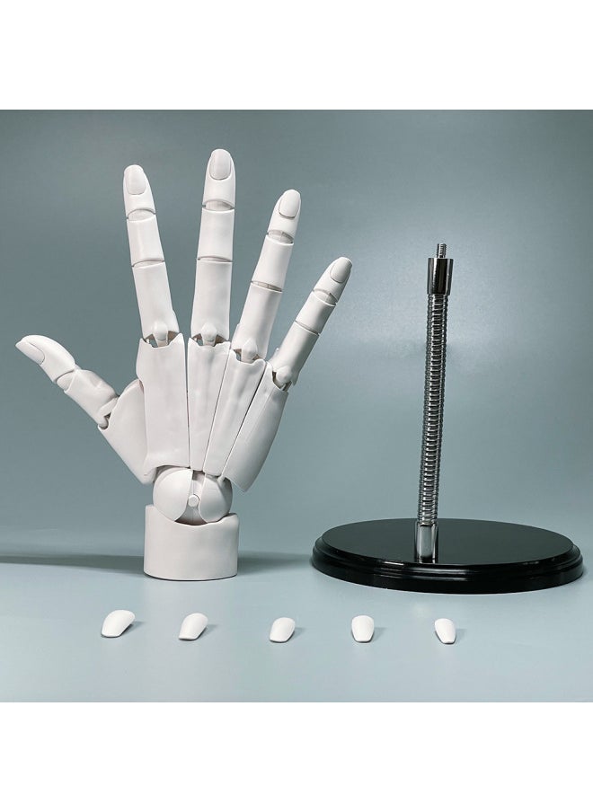 Generic - Super Movable 1:1 Hand Model Finger Joint Bionic Finger Joint Animation Painting Body Art Hand-Color:Super Movable Hand Model (grey) Right Hand - Image 1