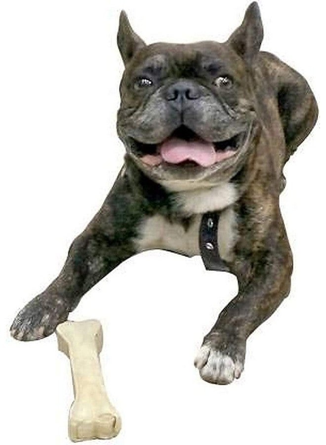 Premium Compressed Rawhide 10 Inch Calcium Chew Bones - Makes Teeth & Gums Healthy And Long Lasting Treats - (4 Kg Pack) - Image 5