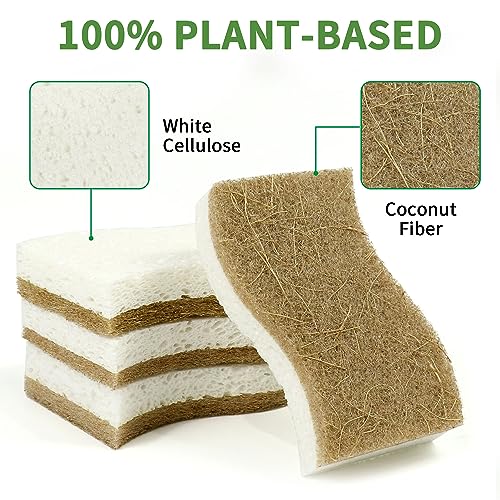 KICKLEEN 16 Pack Biodegradable Natural Kitchen Sponge - Compostable Cellulose and Coconut Walnut Scrubber Sponge - Eco Friendly Sustainable Sponges for Dishes - Image 3