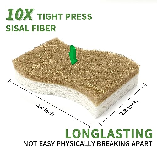 KICKLEEN 16 Pack Biodegradable Natural Kitchen Sponge - Compostable Cellulose and Coconut Walnut Scrubber Sponge - Eco Friendly Sustainable Sponges for Dishes - Image 5