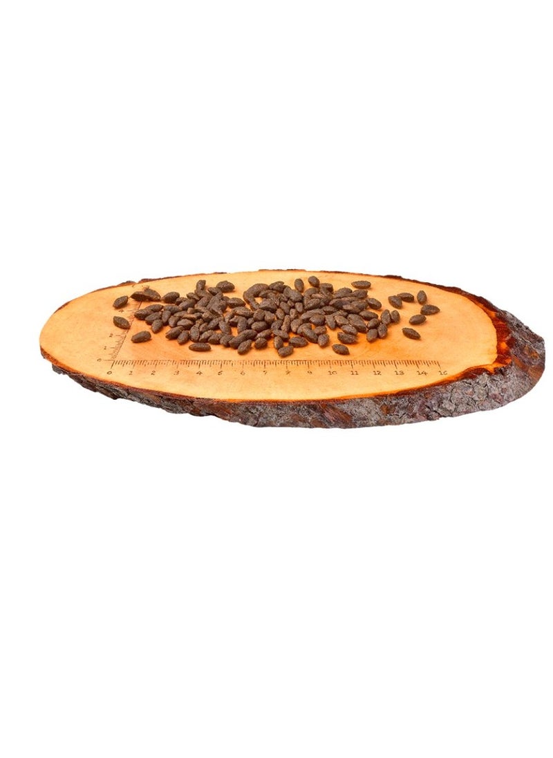 CARNILOVE - Cat Adult Dry Food With Salmon Flavor For Sensitive And Long Hair Cats 400g Grain-Free - Image 1