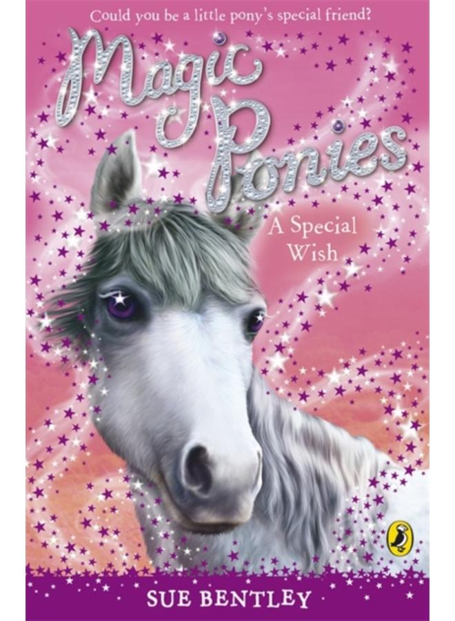 Magic Ponies: A Special Wish 