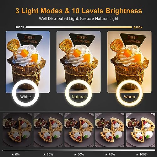 ADZOY Upgraded (2023-2024) ADL-0503 10”Circle LED Portable Selfie Ring Light with Overhead Suspension Stand and Phone Holder for Video Recording, Zoom Meeting, Live Streaming, Tiktok,YouTube - Image 2