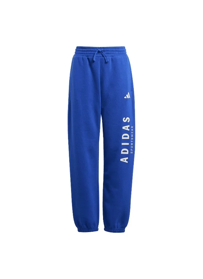 Adidas adidas j all szn gfx unisex pants